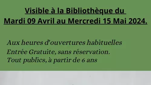 Exposition Les Dinosaures Bibliothèque